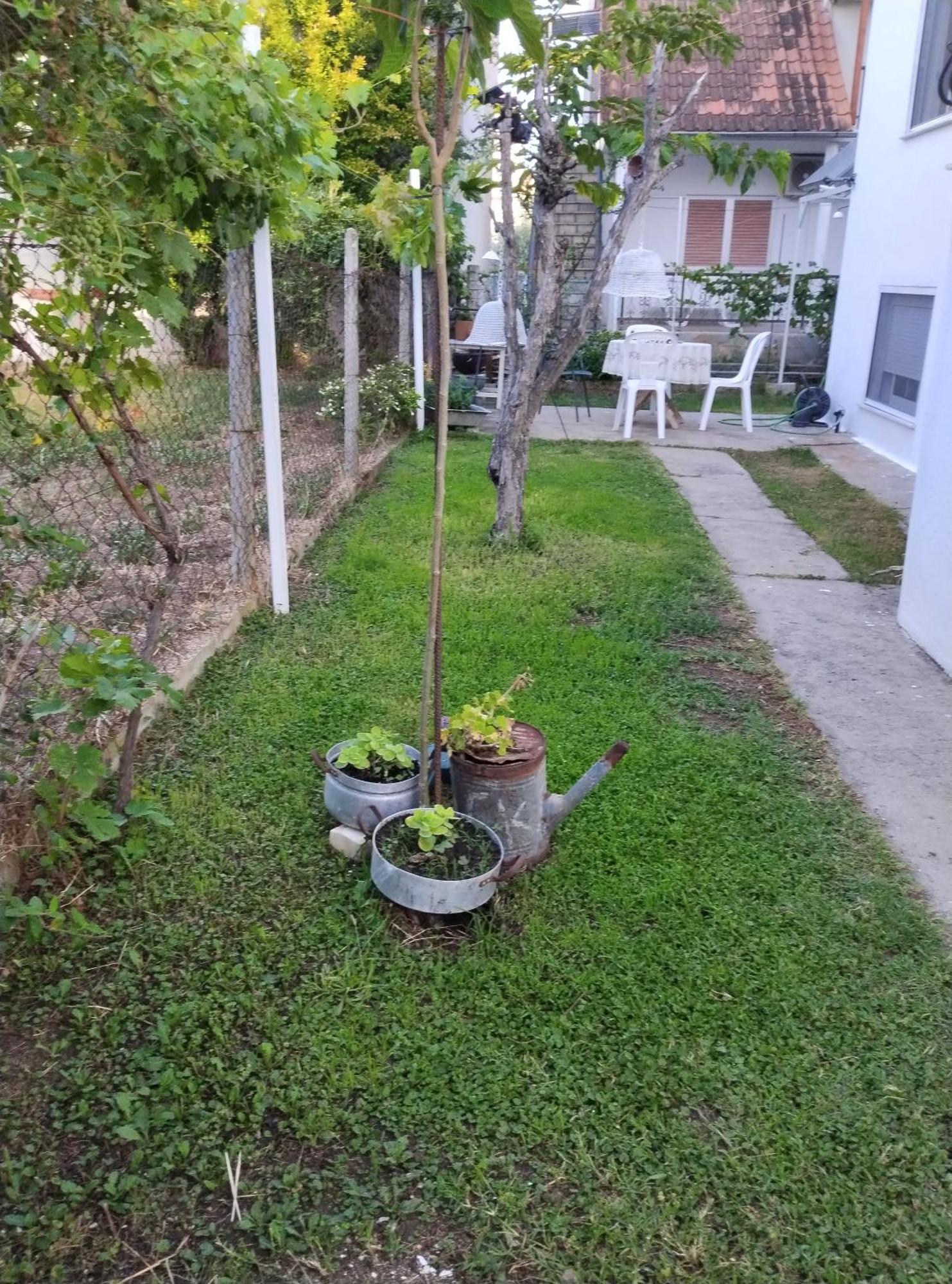 Vrasná Θαλασσινή Αυρα 빌라 외부 사진
