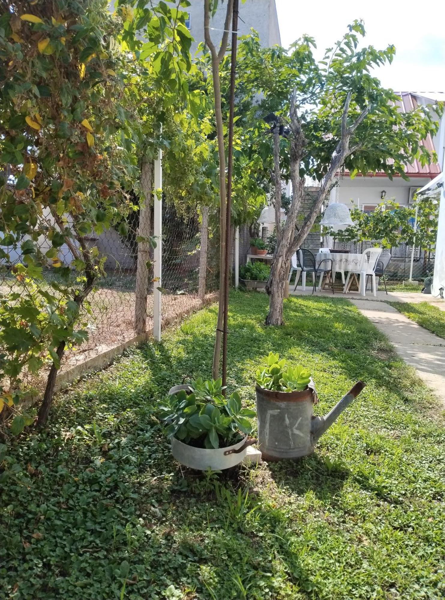 Vrasná Θαλασσινή Αυρα 빌라 외부 사진